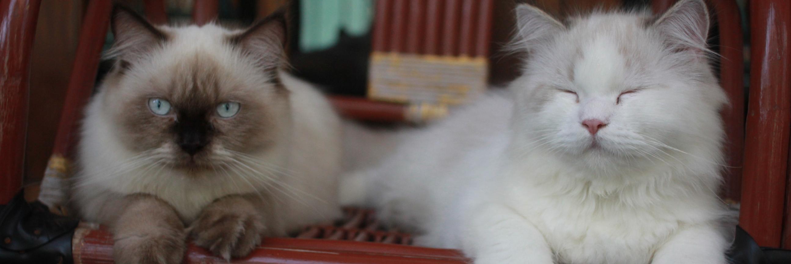 marthamatic's profile banner image