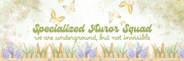 SAS_The02 Profile Banner