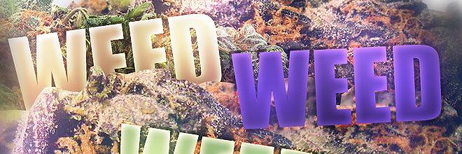 Got Happy Weed? banner
