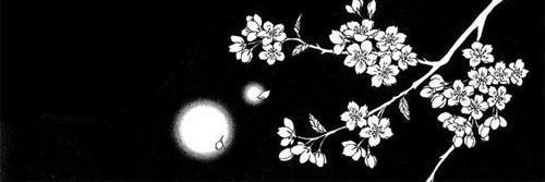 noxareth's profile banner image