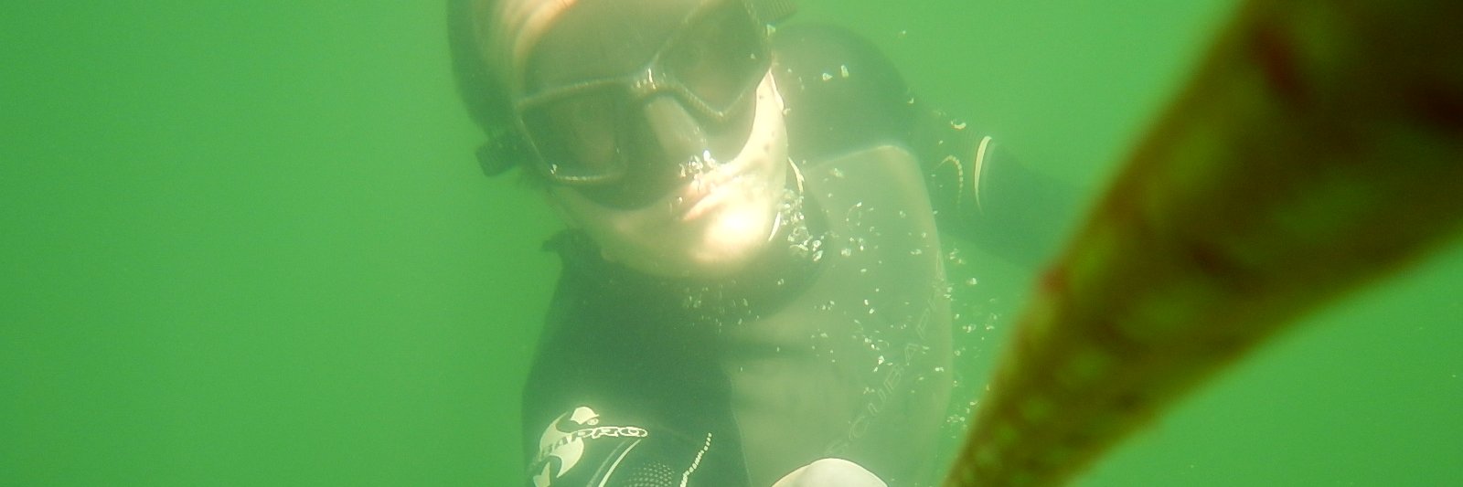 FreedivingGuru's profile banner image