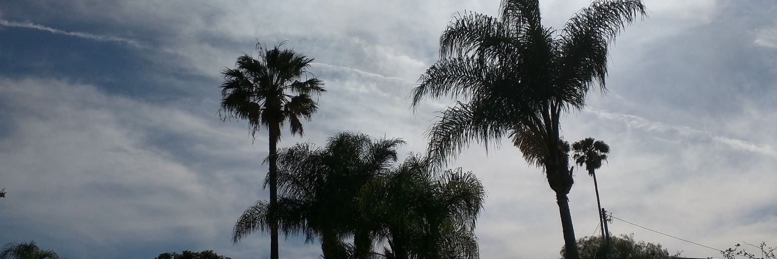 Aubria's profile banner image