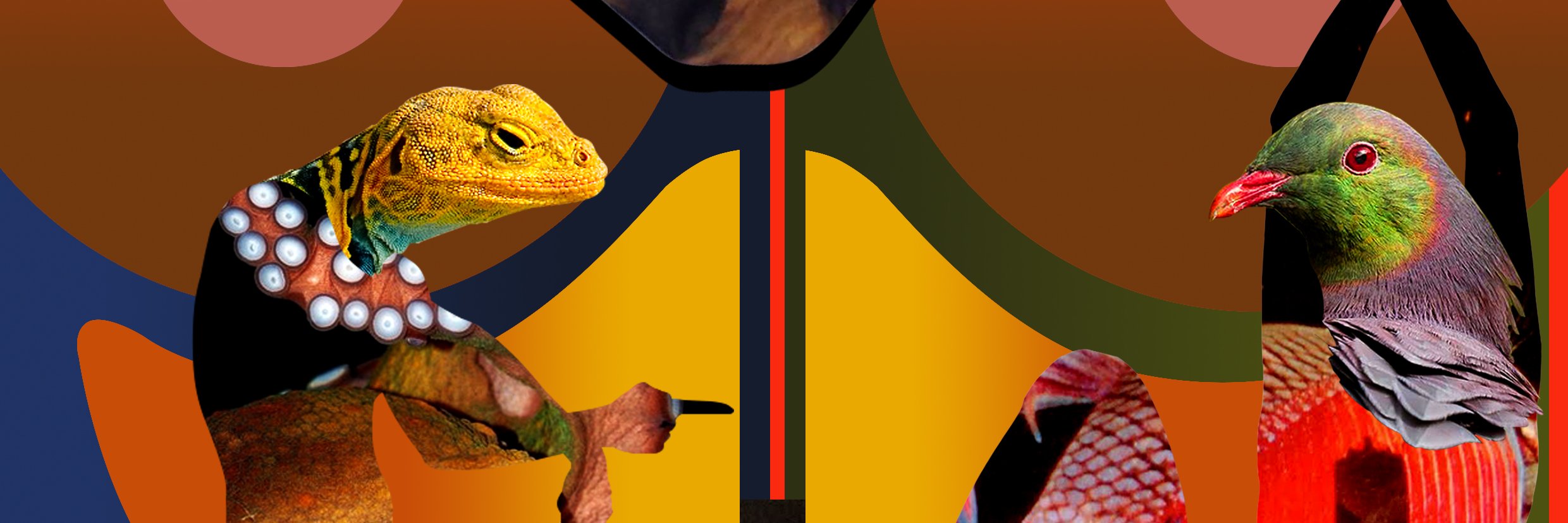 battybass's profile banner image