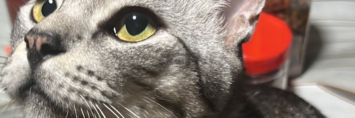 izzuddynn's profile banner image