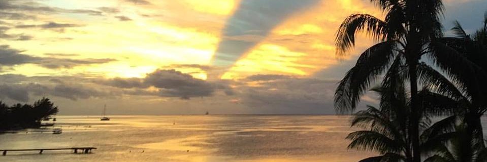 carlosfitz's profile banner image