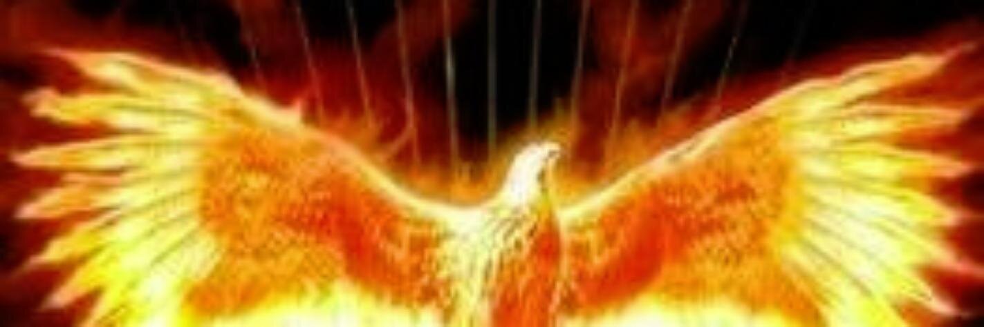 StThomasRising's profile banner image