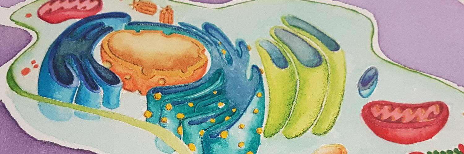 lagouribe's profile banner image