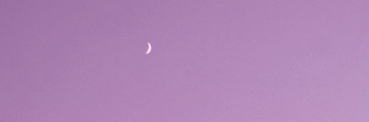 ❣️미미 banner