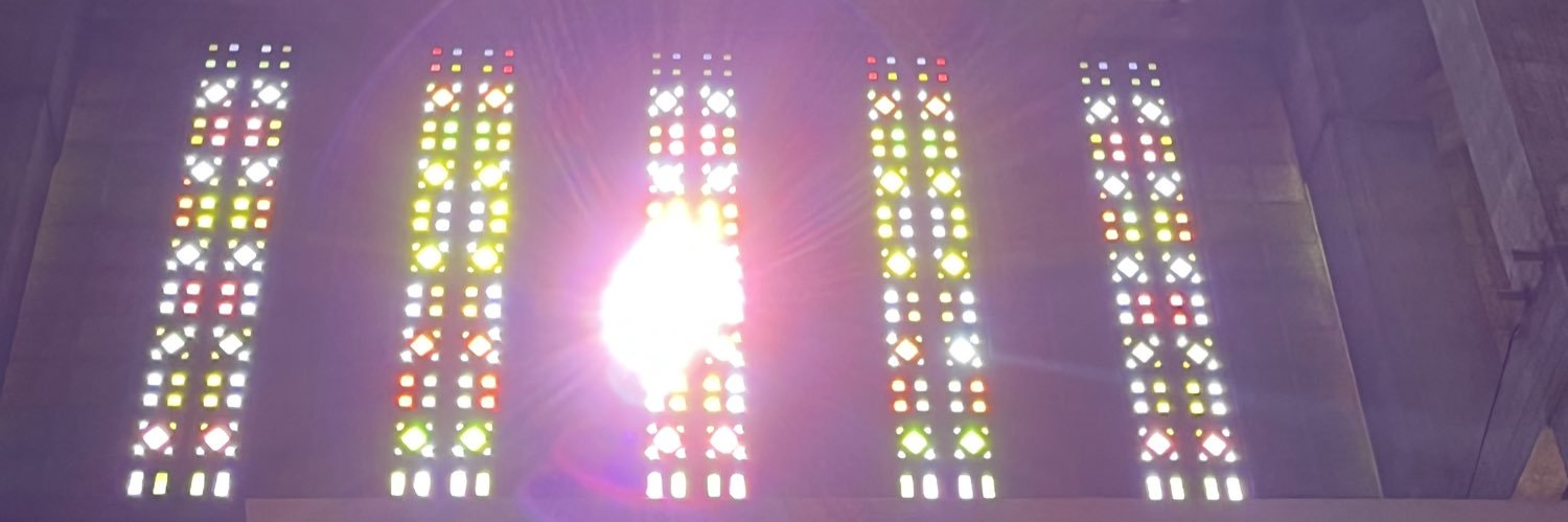 Bertrand Levant banner