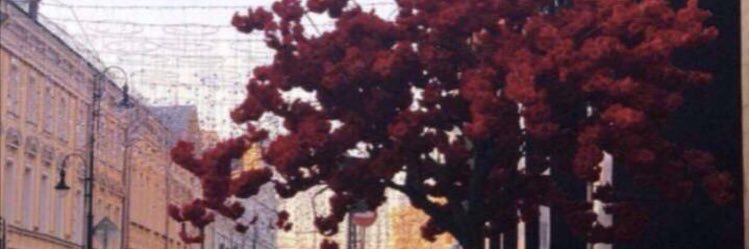 334tTorke's profile banner image