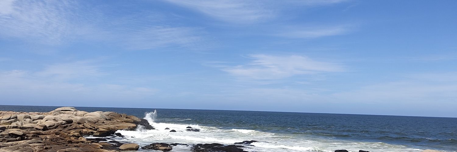 OLaguarda's profile banner image