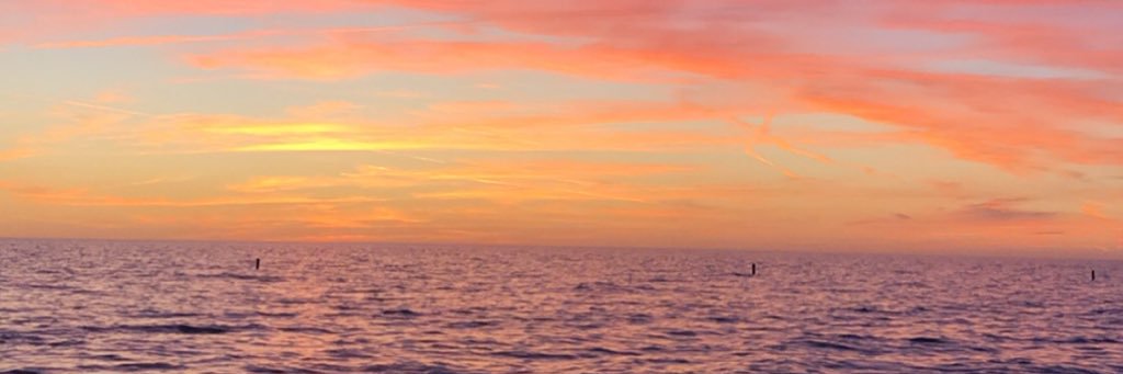 JaciZaveral1's profile banner image