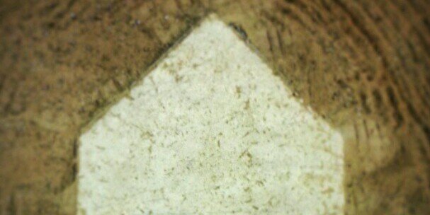 Lake Mary Baseball banner