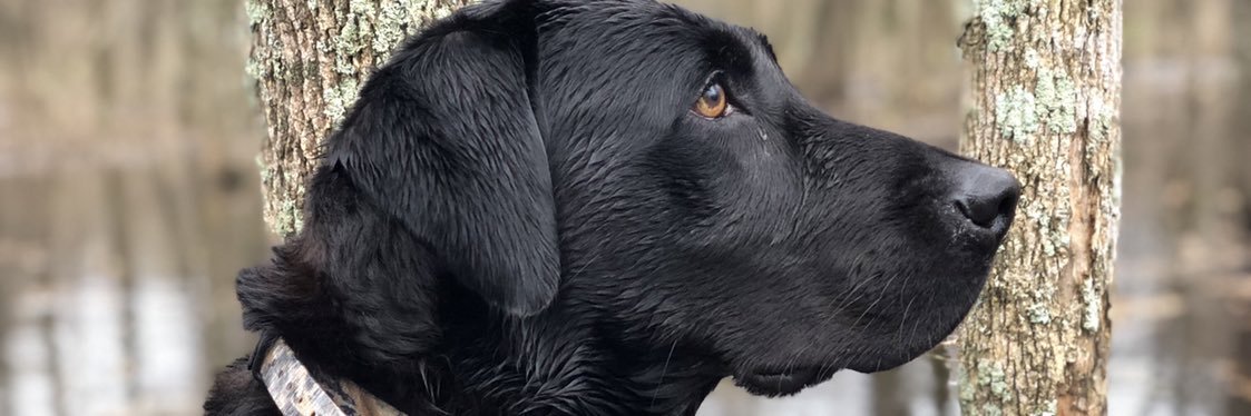 rankinteeter's profile banner image