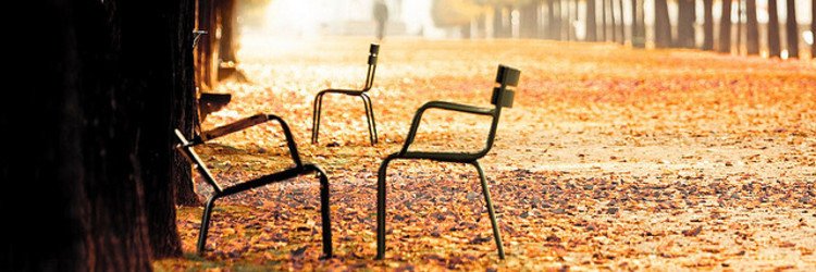 Alessia Biancalana banner