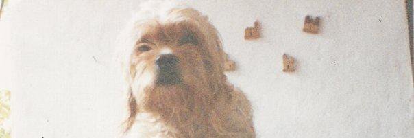 Colmeneirors's profile banner image