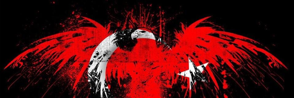 VidyocuAmca's profile banner image