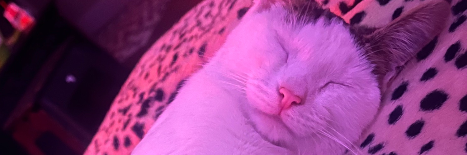 ArndtLexy's profile banner image