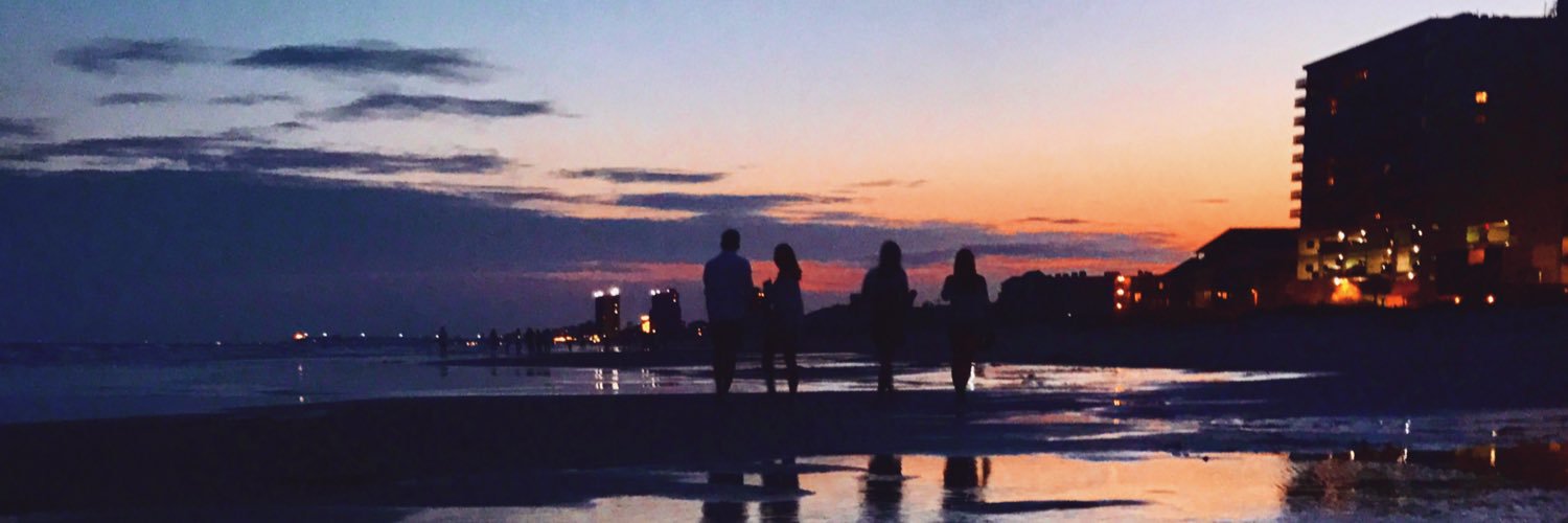 oliviaapalmieri's profile banner image