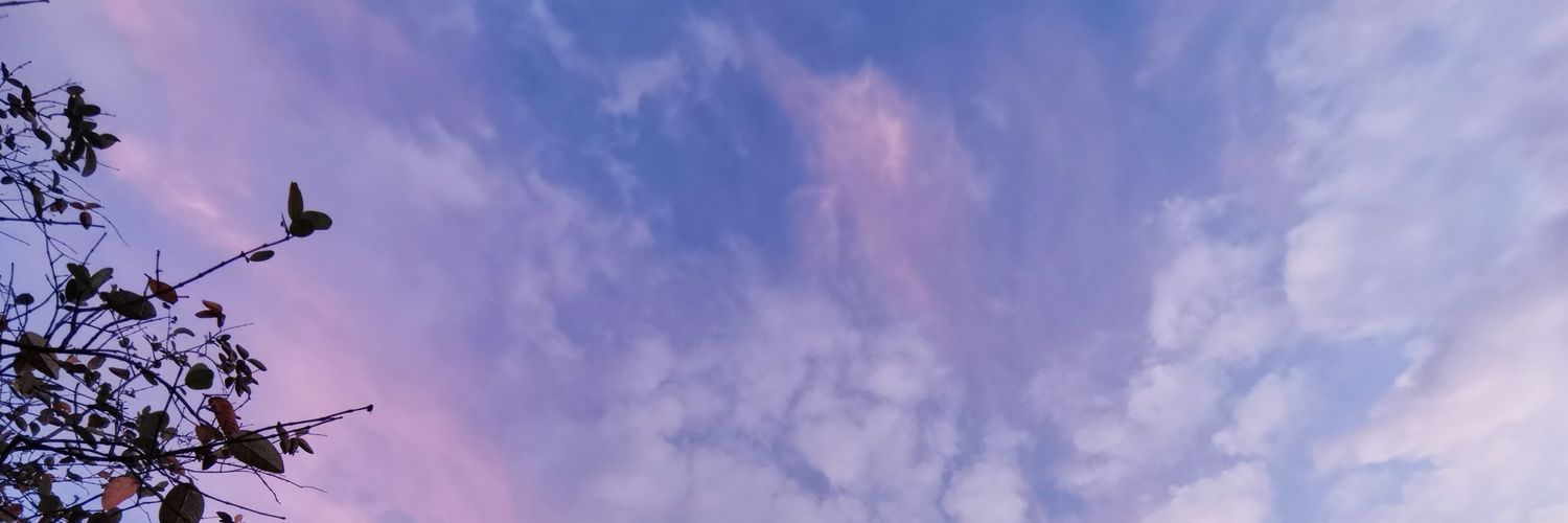 tashefih's profile banner image