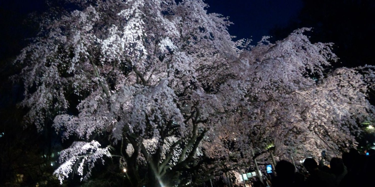 takaoni1981's profile banner image