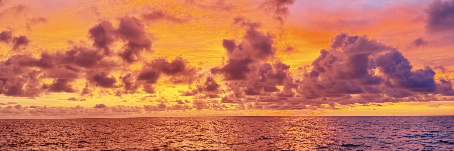 FocusBrasamo's profile banner image