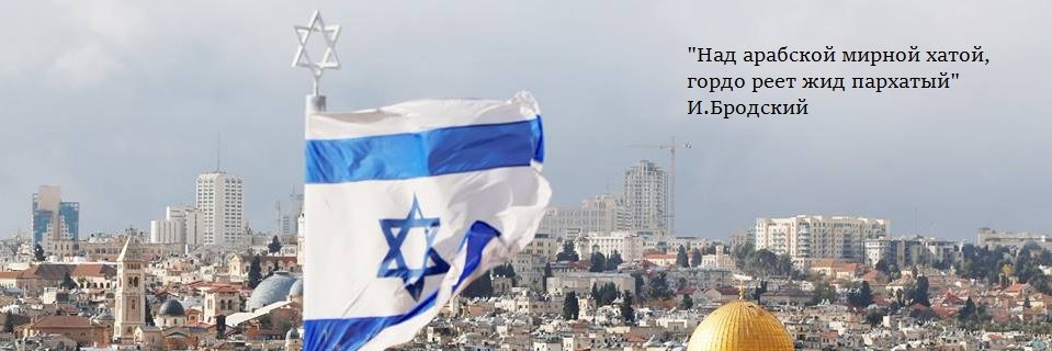 Снежный барс ♏️⚽️🇩🇪🇺🇦 banner