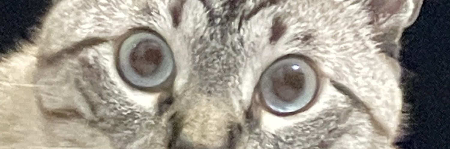 marcinhojr__'s profile banner image