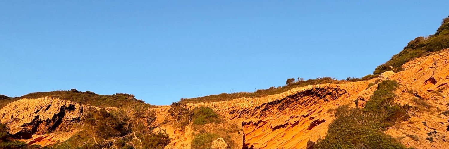 merzmar's profile banner image