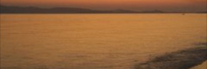 Lauurmt's profile banner image
