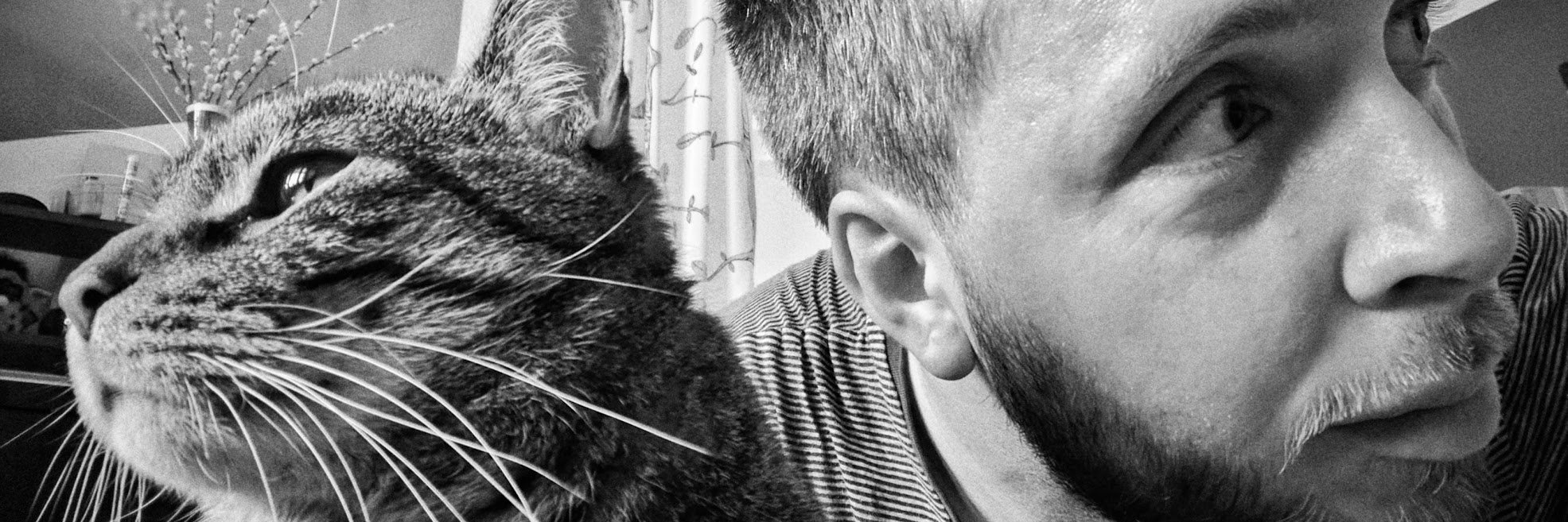 TonTorte's profile banner image