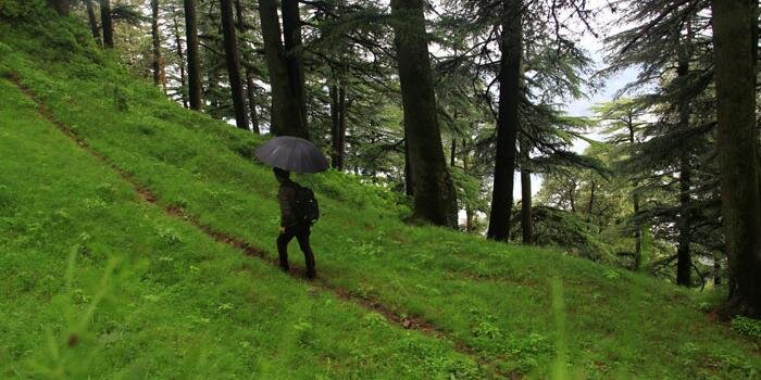 trekIndiatrail's profile banner image