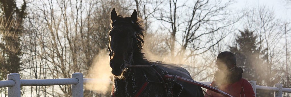 EmilySobak's profile banner image