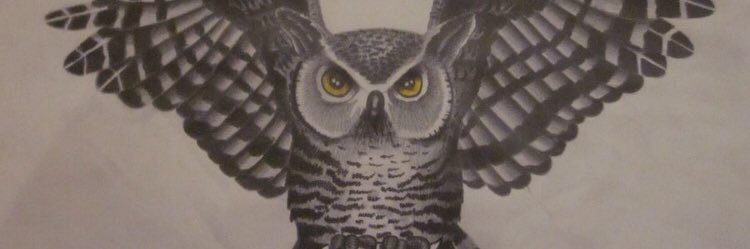 Elliott F Baby banner