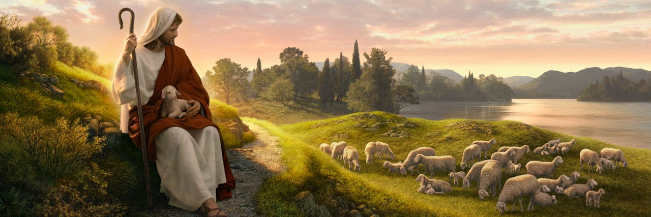 wilyhawk's profile banner image