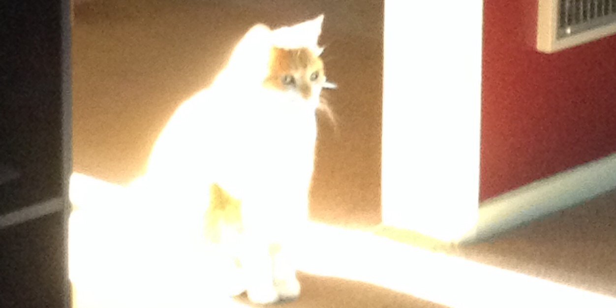 Angela Russell banner