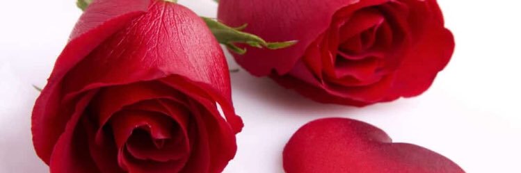 SyedAshar1972's profile banner image