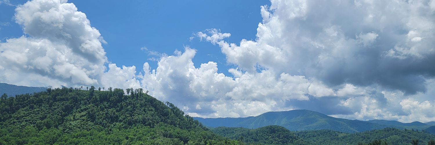 Mscottduck's profile banner image