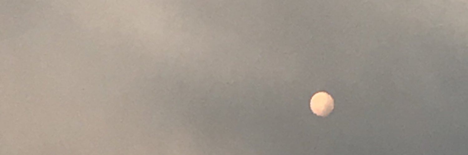 evelikayaaaa's profile banner image