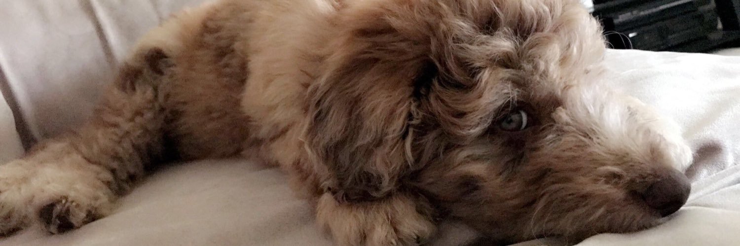 breleighee8's profile banner image