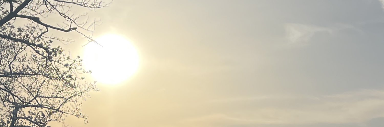 DsuzuTT's profile banner image