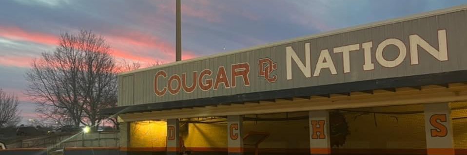 Lady Cougar Softball banner