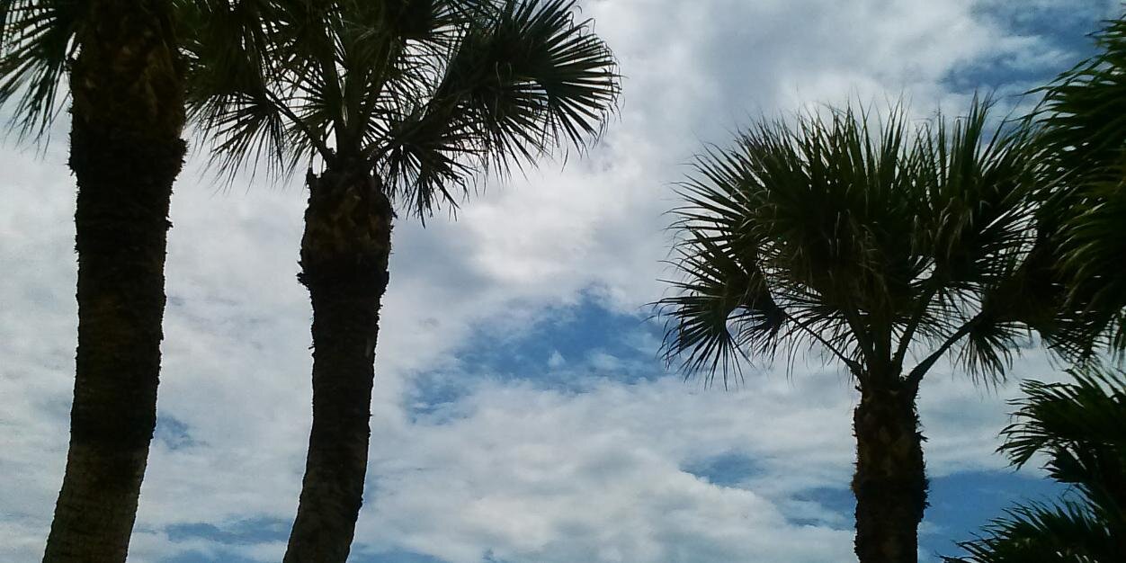 ColeSWFLandscap's profile banner image