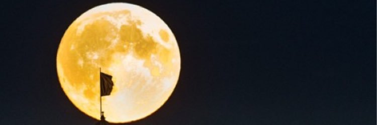 wima_2525's profile banner image