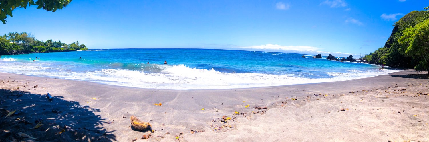 NaneaKalani's profile banner image