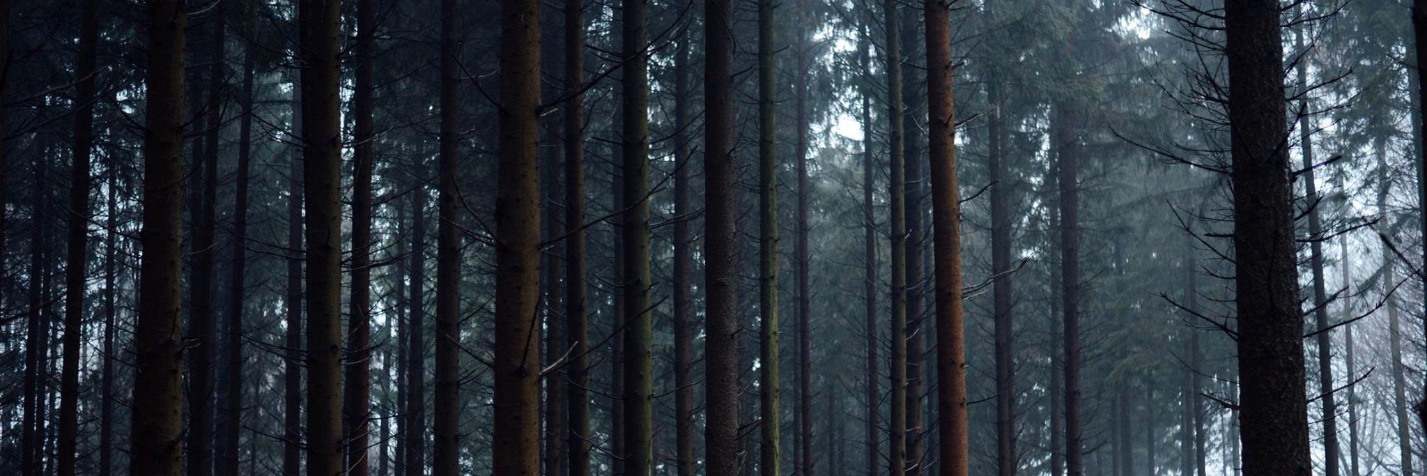 todayis_de's profile banner image
