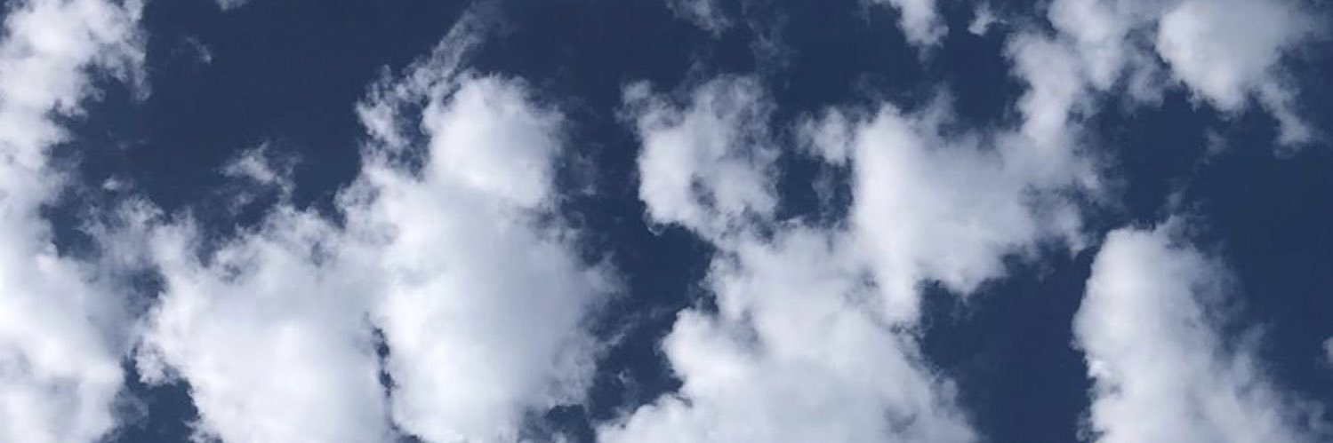 Nichipivetti3's profile banner image