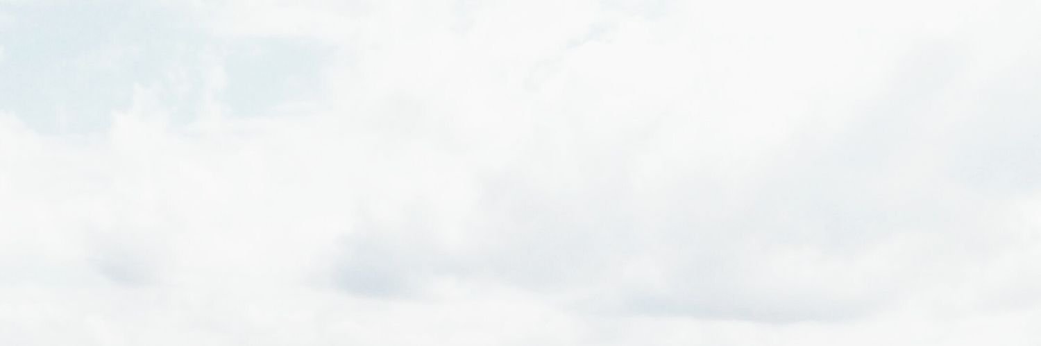 vikhlyaevaliza's profile banner image