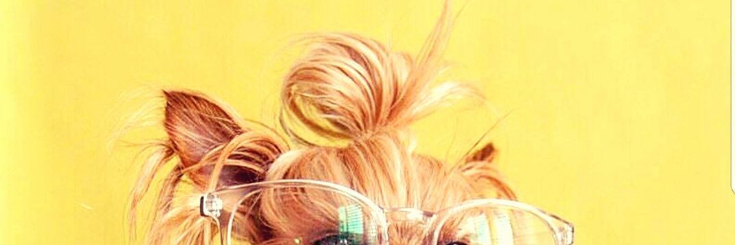 ahhrilla's profile banner image