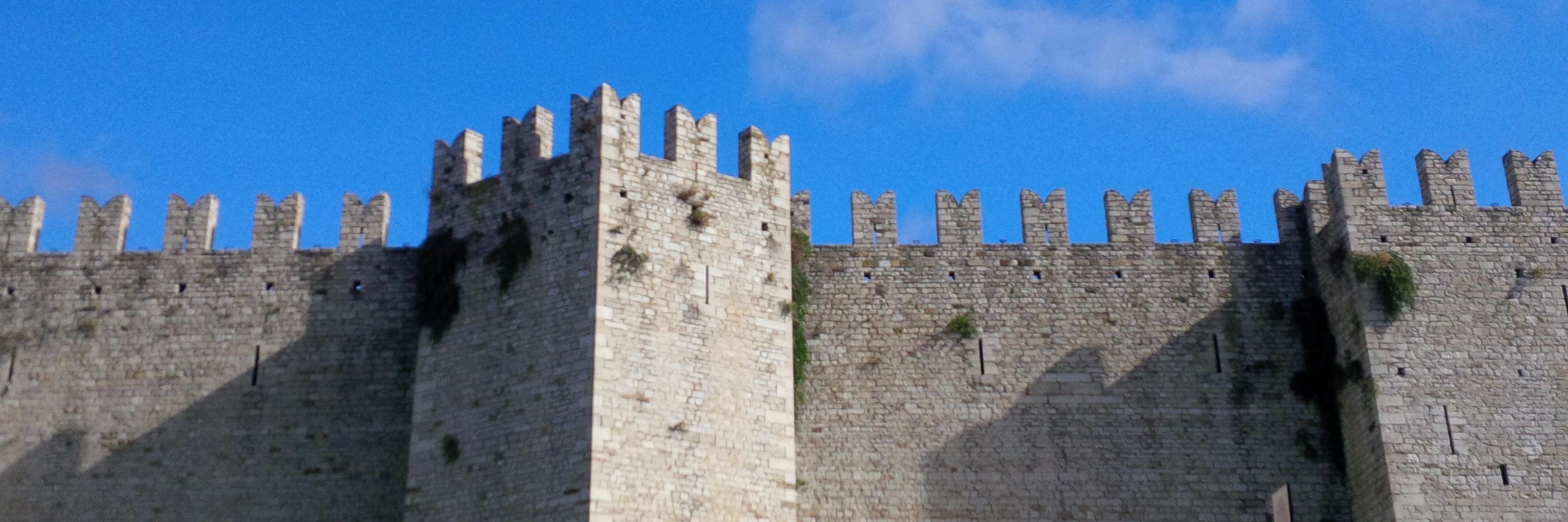 leoborsacchi's profile banner image
